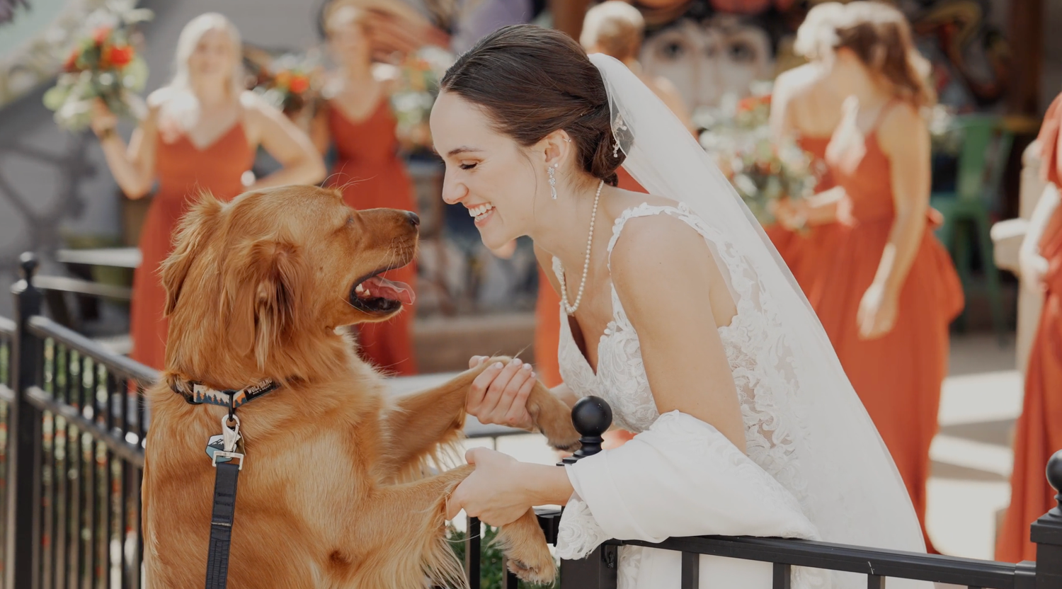 Wedding session st Augustine