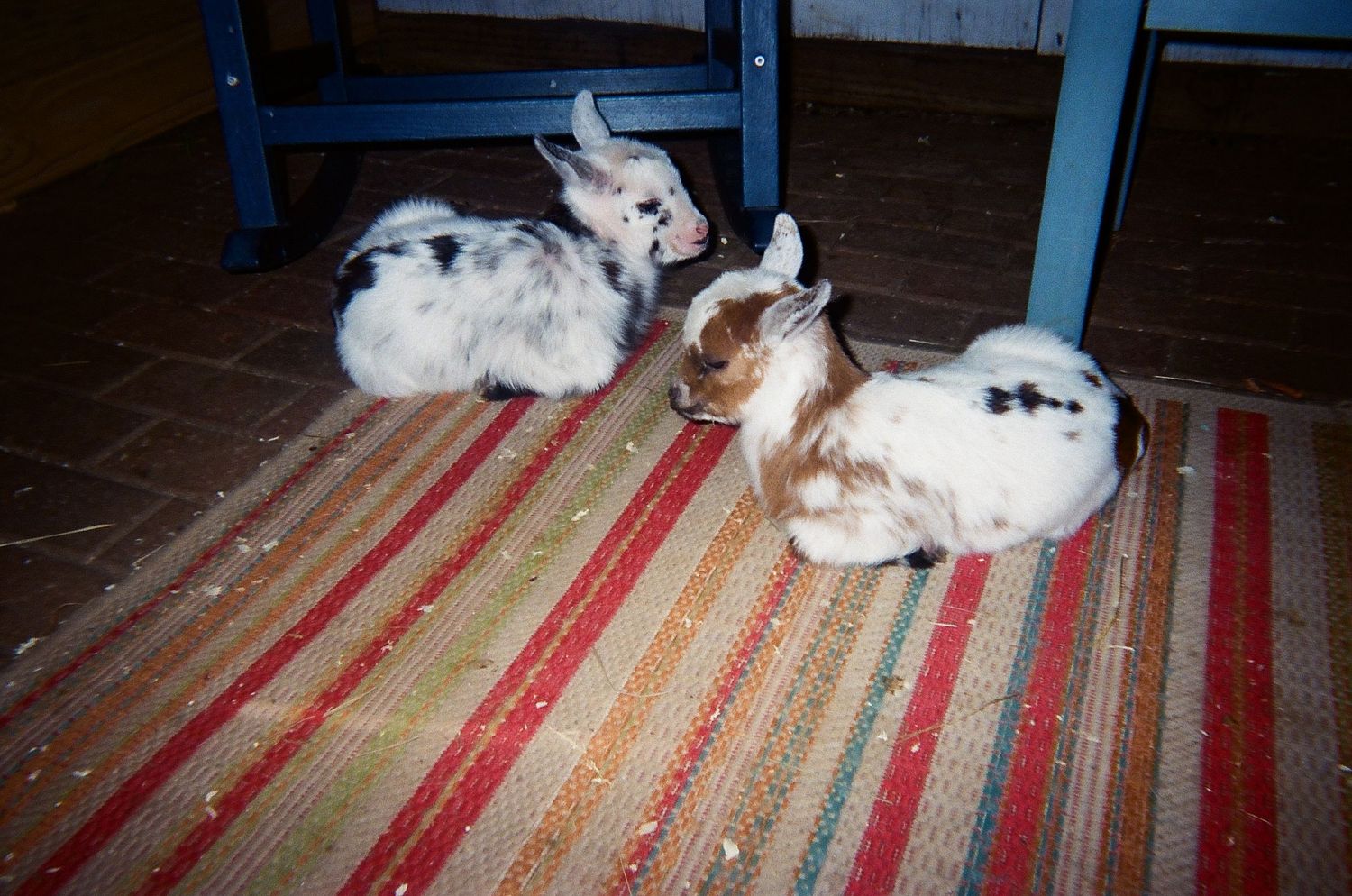 Taken with film 2026