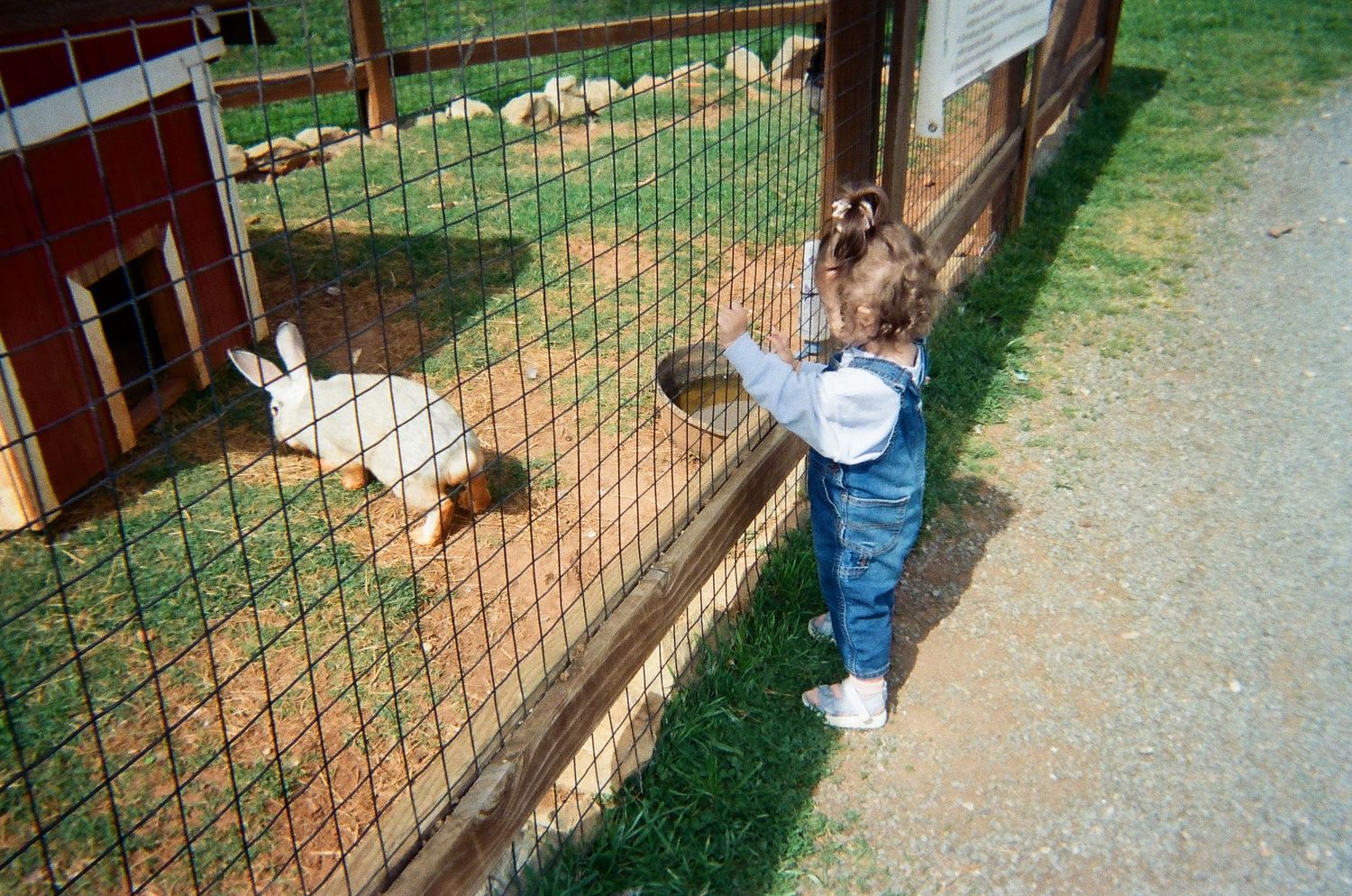 Taken with film 2026
