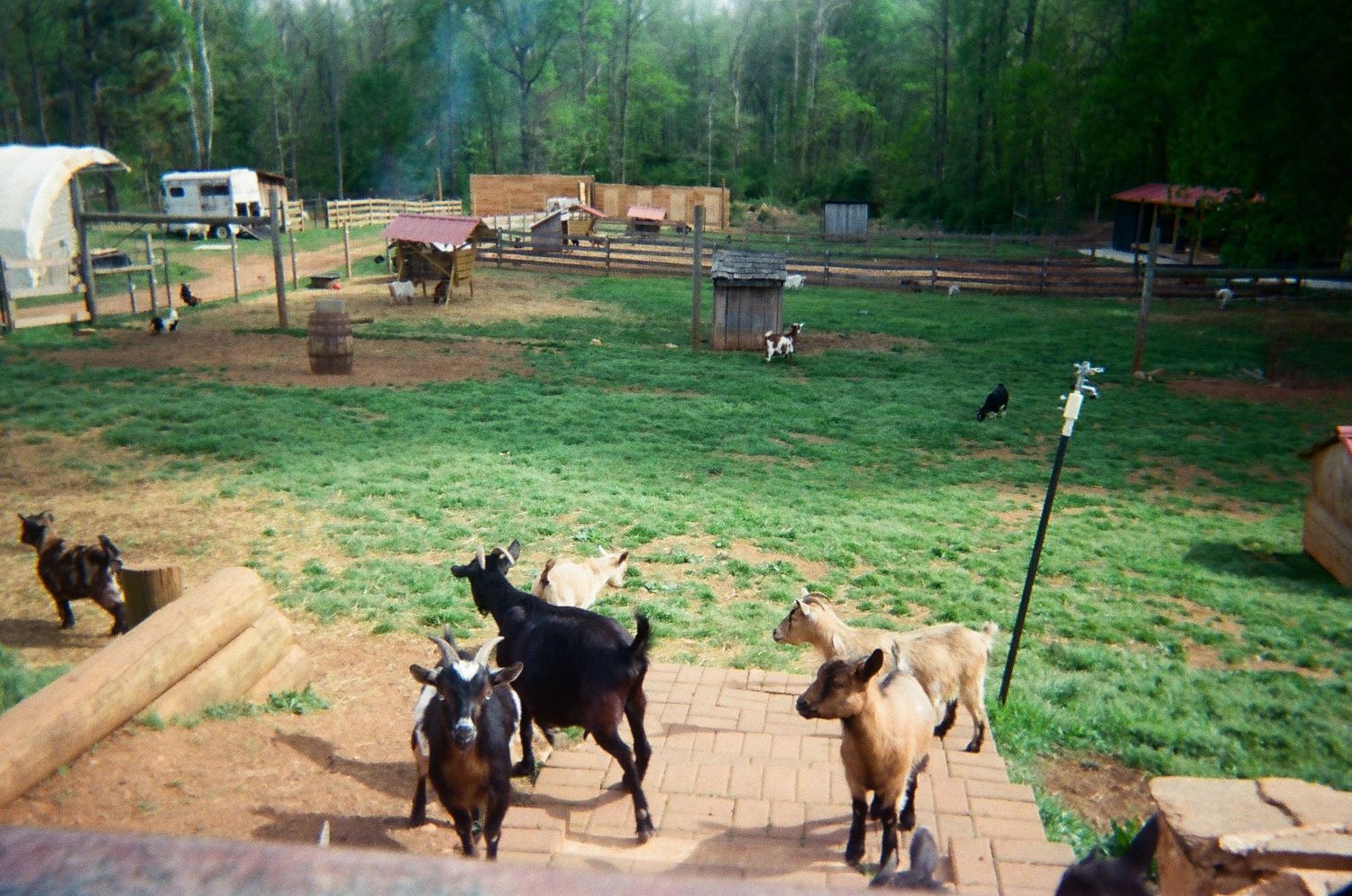 Taken with film 2026