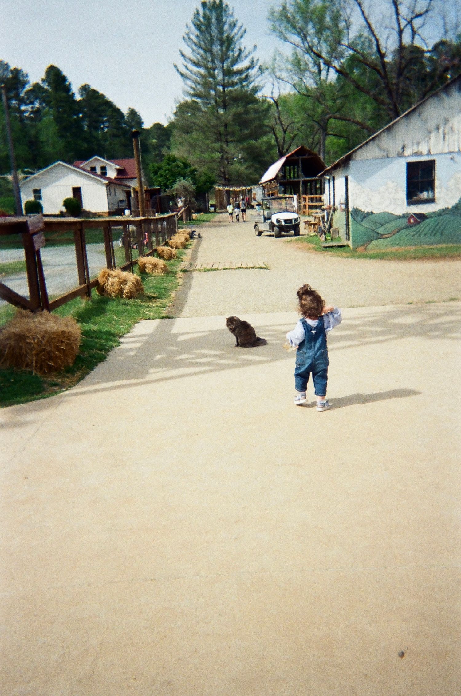 Taken with film 2026