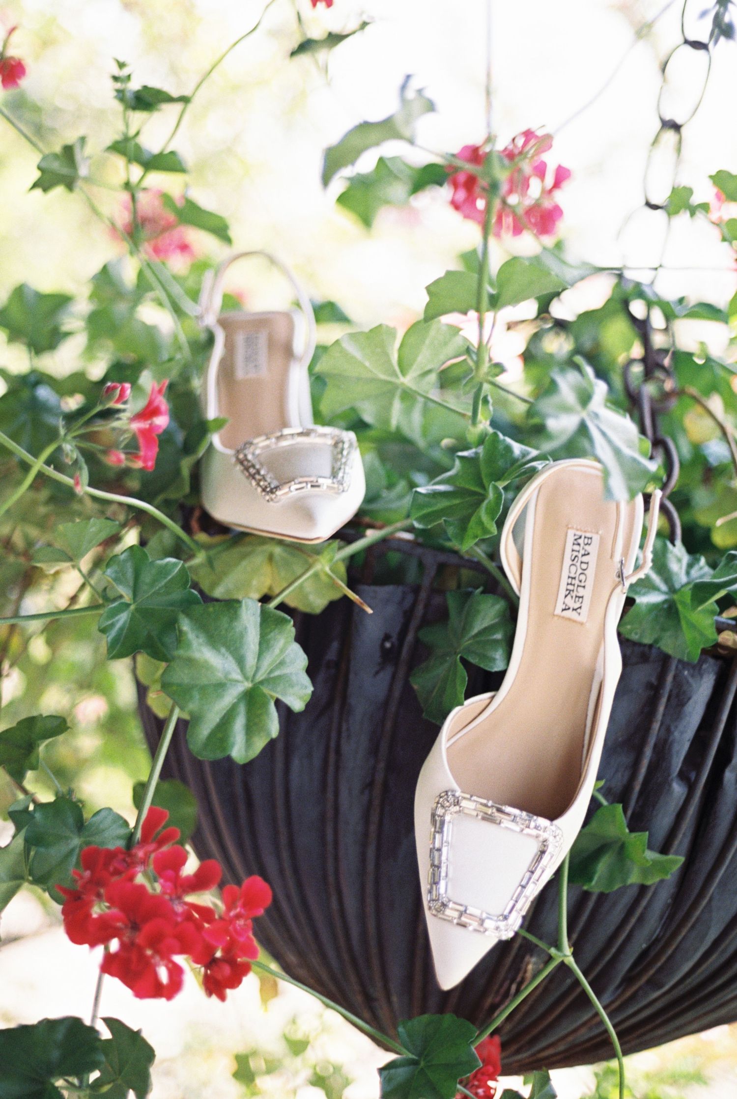 Elegant white bridal heels with crystal embellishments hanging among red geraniums in a hanging basket.