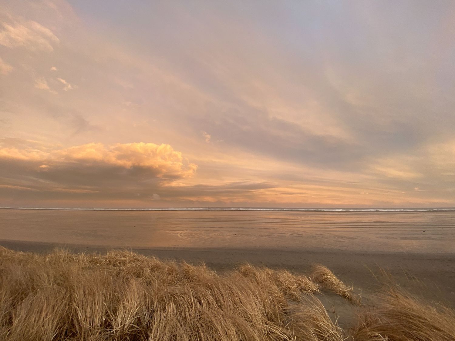 Coastal Beach Photo