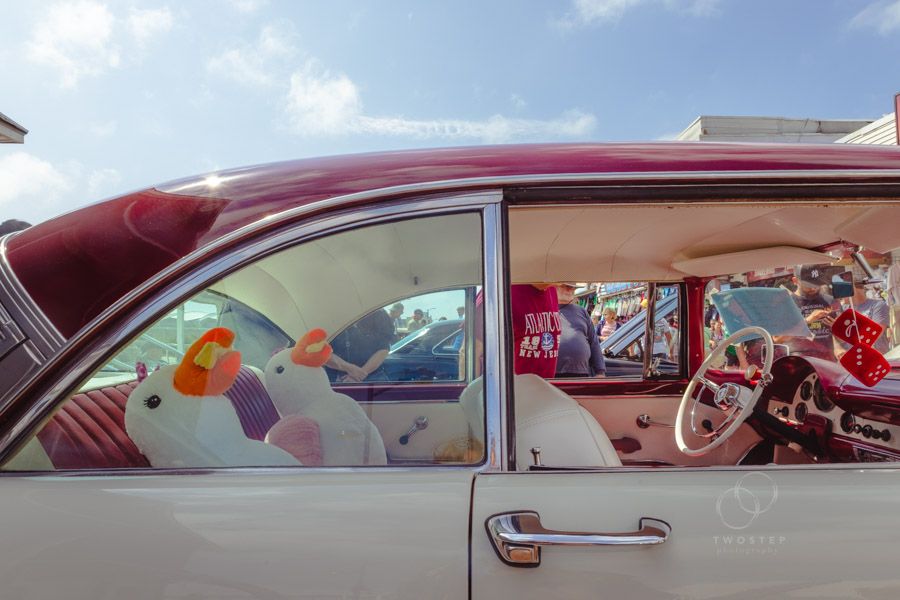 Wildwood Classic Car Show Seagulls with French Fries