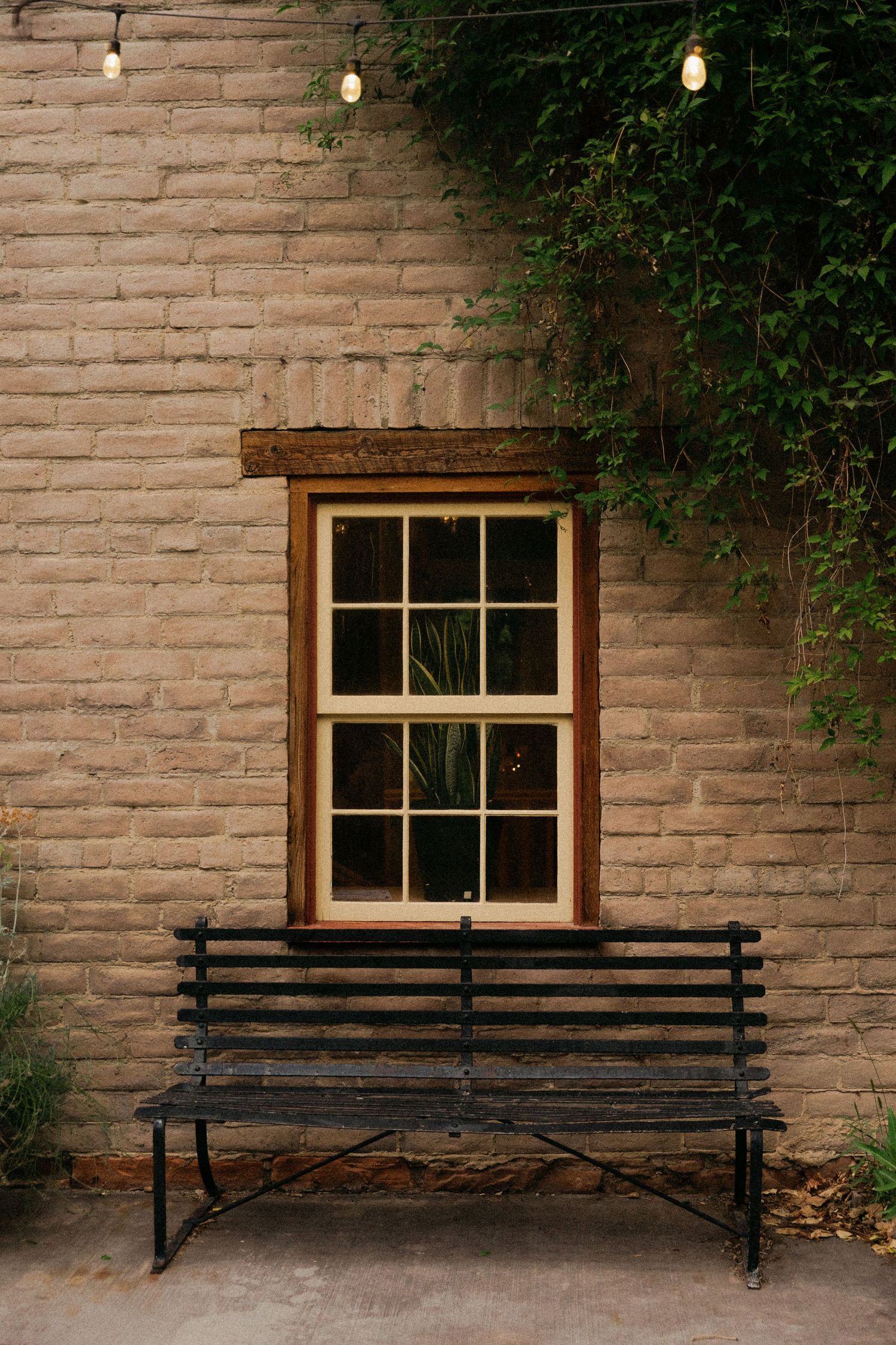A rustic brick wall with a wooden window, black iron bench, string lights, and climbing ivy.