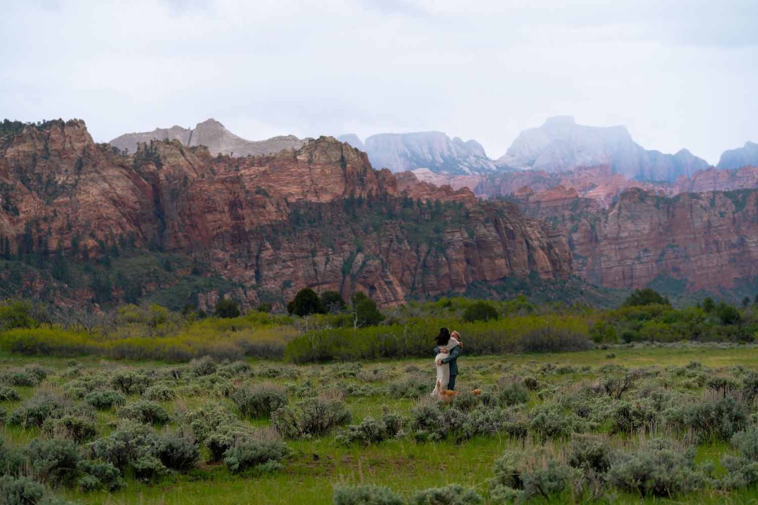 Person standing in a lush meadow with stunning red rock cliffs of Zion National Park in the background.