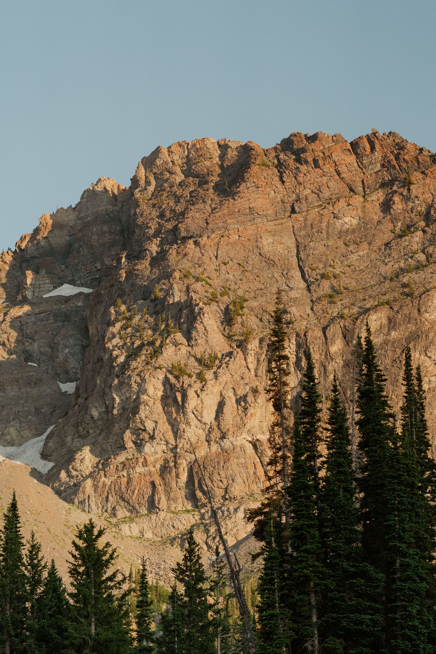 Rocky mountain peak with pine trees bathed in warm golden light.