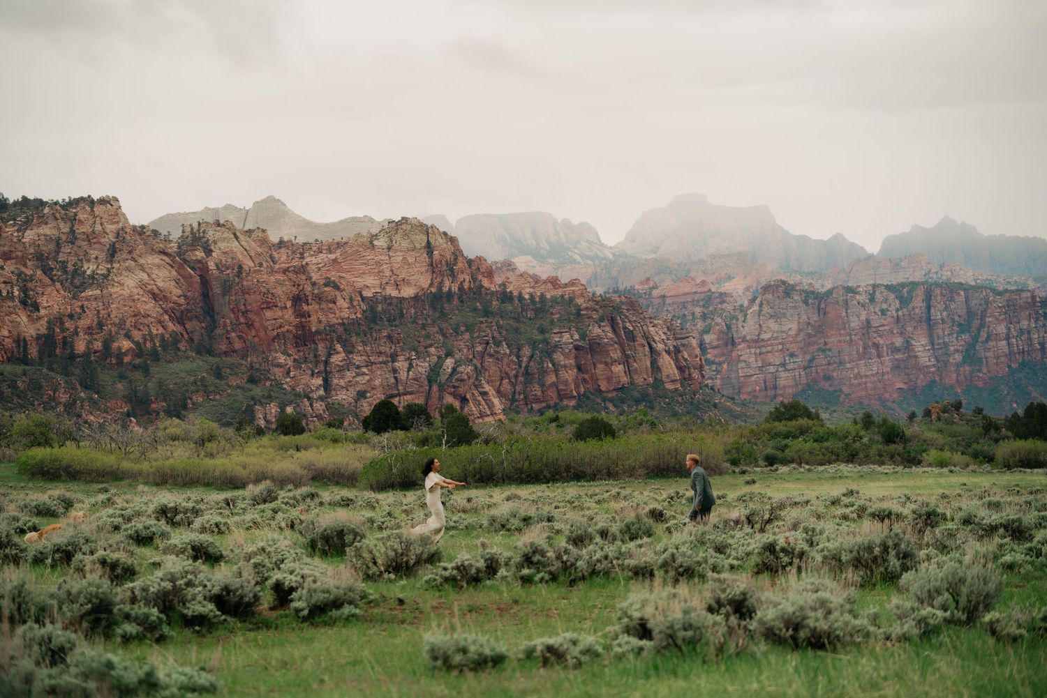 Couple walking through green meadow with stunning red rock canyon mountains of Zion National Park in background.