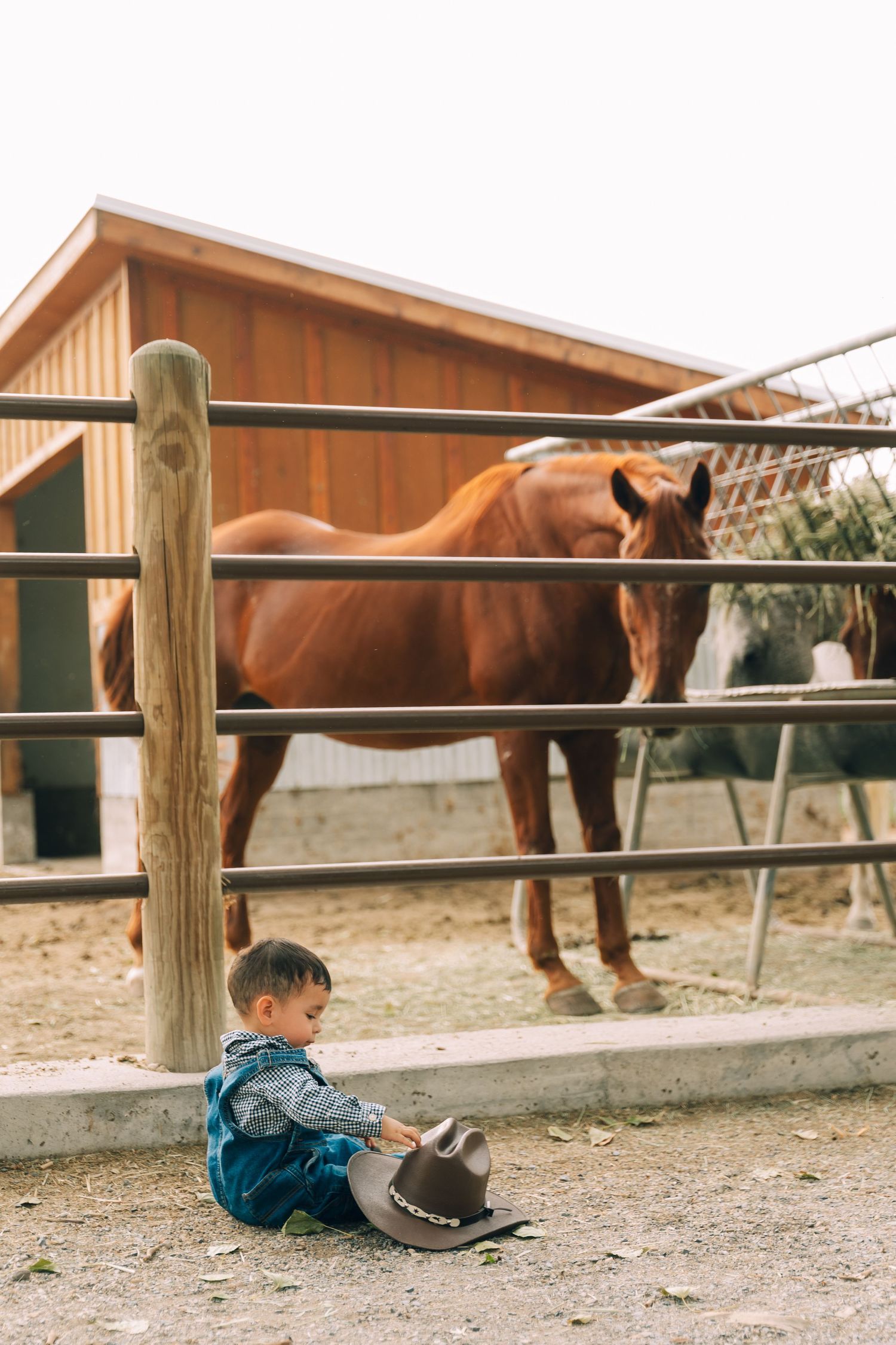 Toddler boy in denim sitting by fence holding cowboy hat with brown horse behind him.