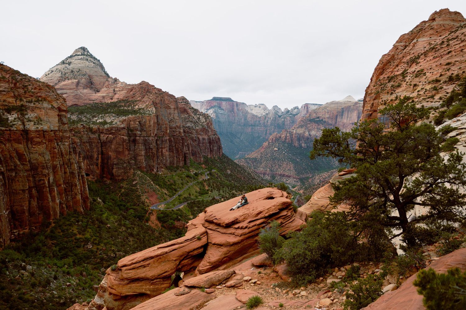 Sweeping aerial view of Zion National Park canyon with red rock formations, lush green trees, and misty mountain peaks.