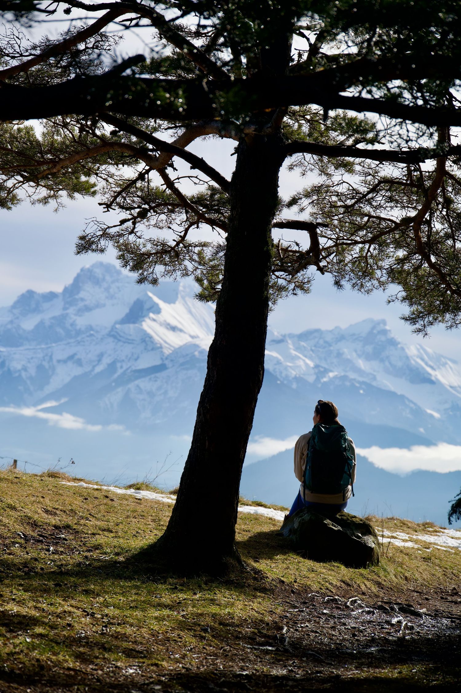 A hiker resting by a tree, looking out at the Grande Tête de l’Obiou, from a vantage near the Pierre Percée