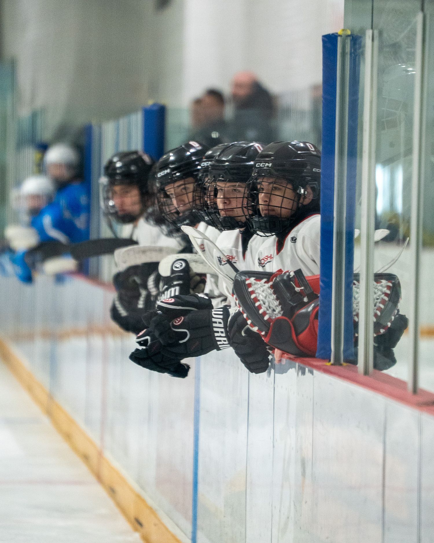 OHA Edmonton players watch the game action from the bench.