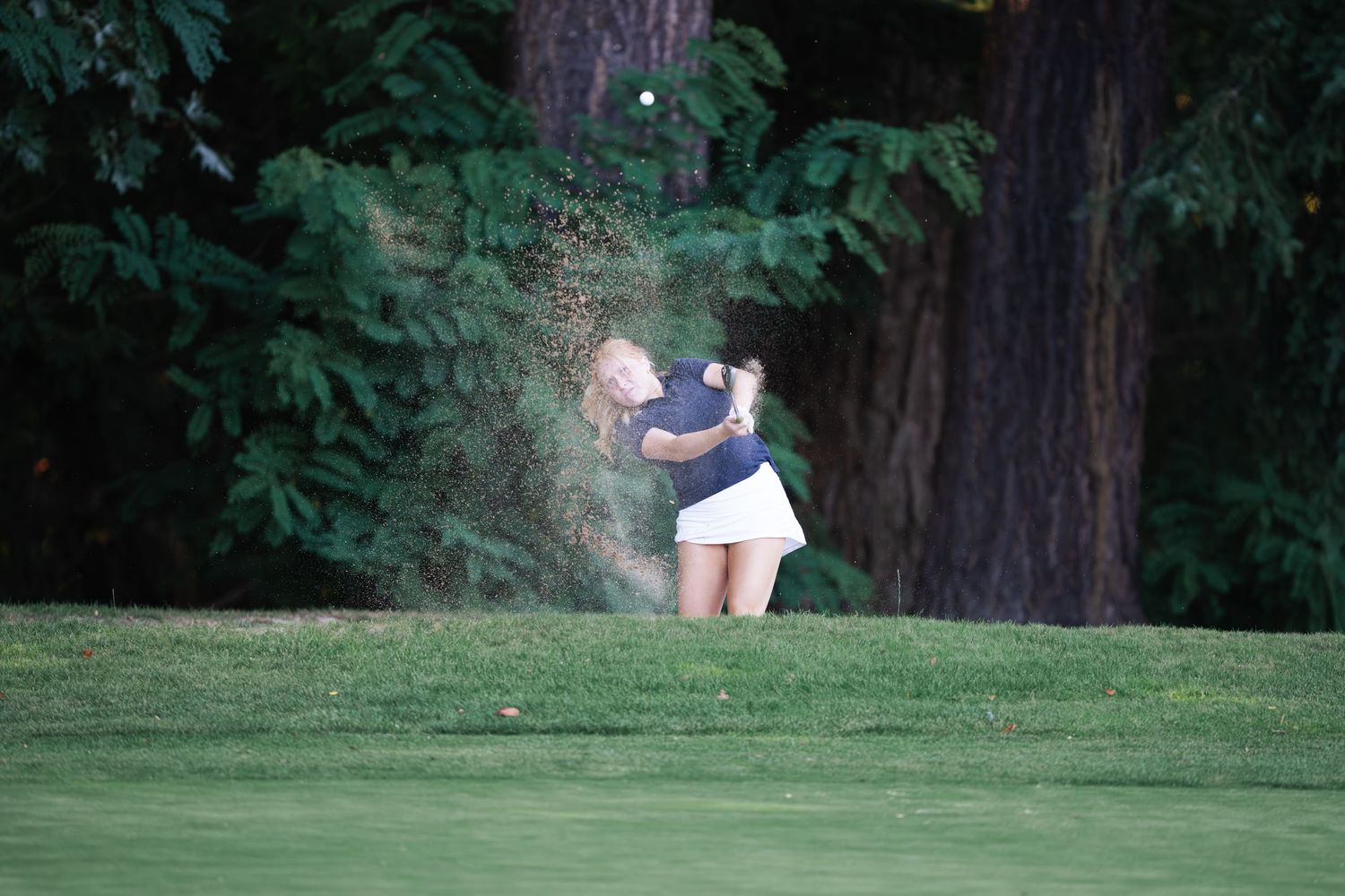 A person practices their golf swing on a lush green course surrounded by tall evergreen trees.