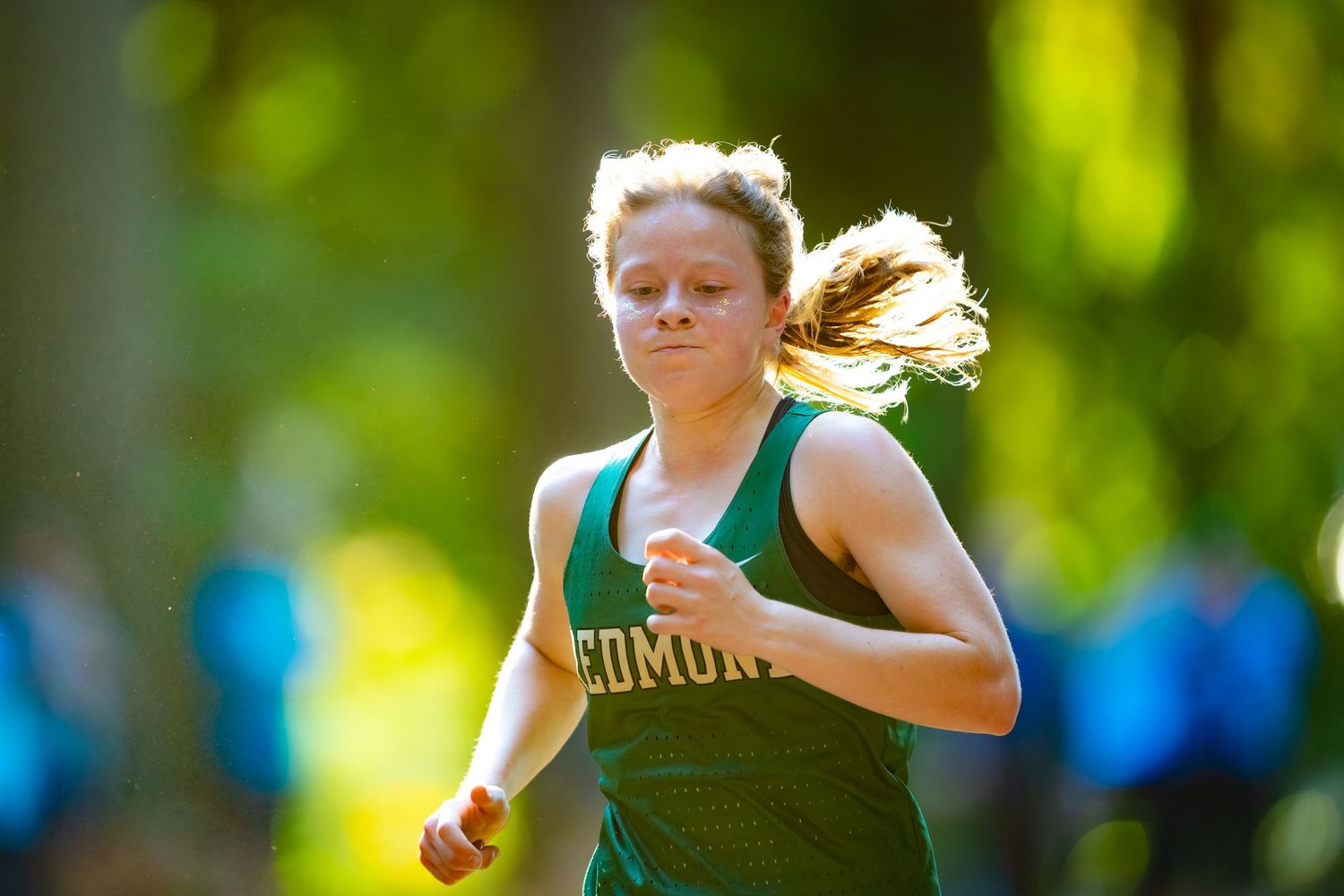 Cross country runners compete in a race through a wooded trail on a sunny afternoon.
