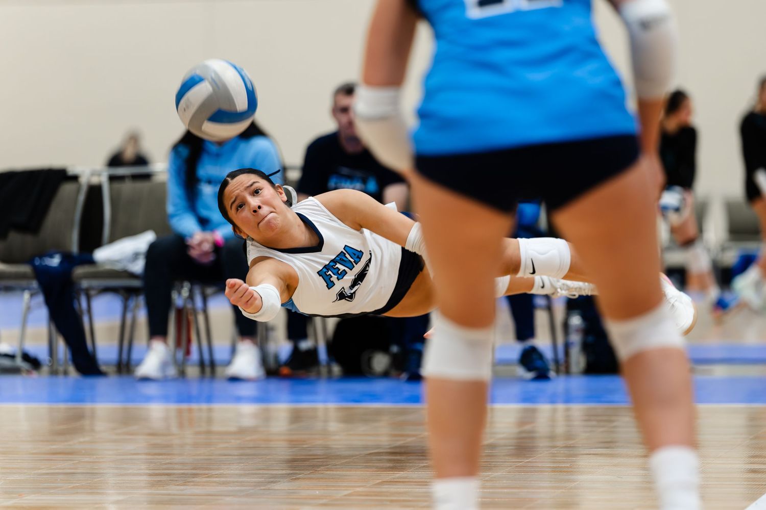 Volleyball player dives low to save a ball during an indoor match on a blue court.