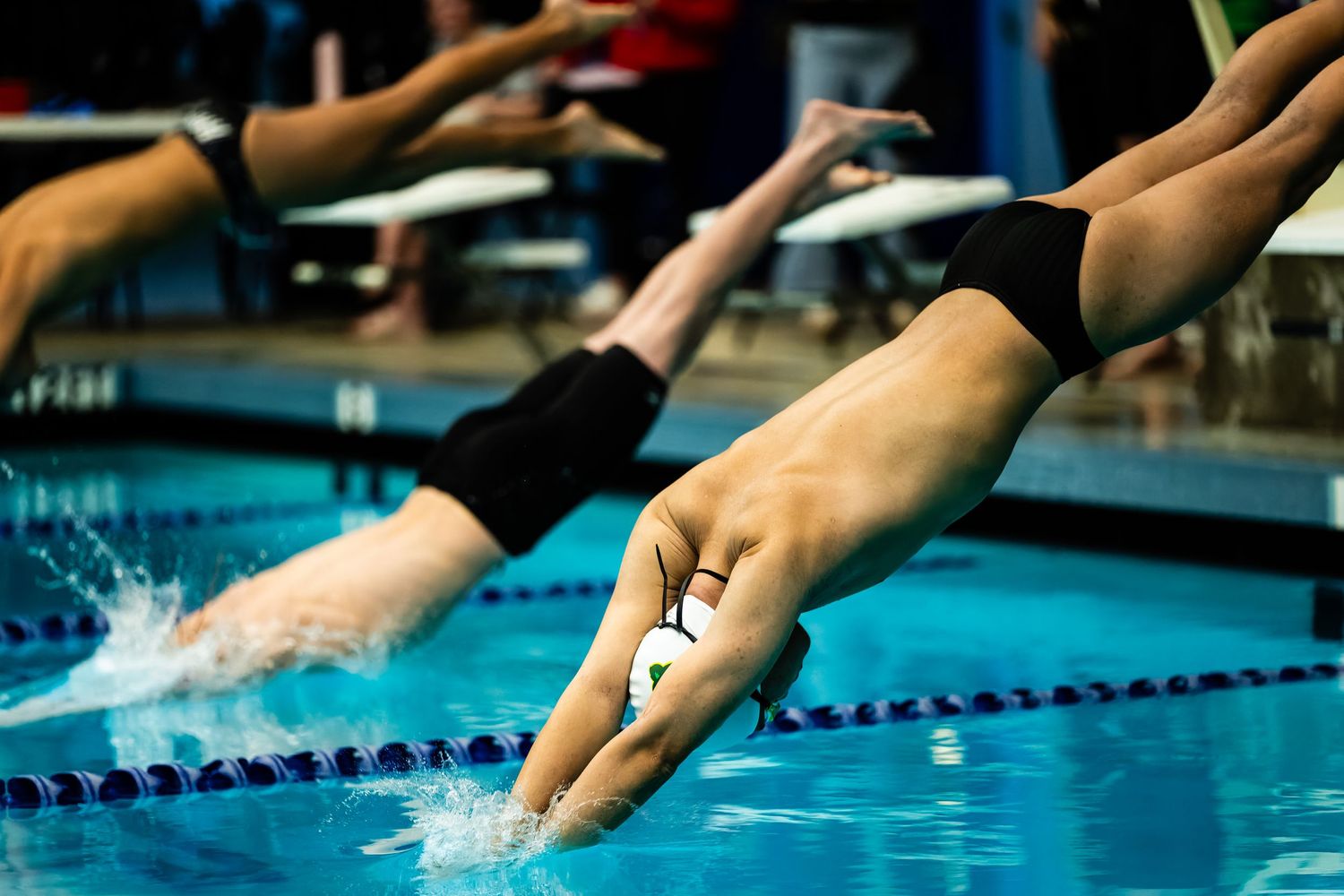 Swimmers dive into a pool during a competitive swimming race with lane markers visible in the water.