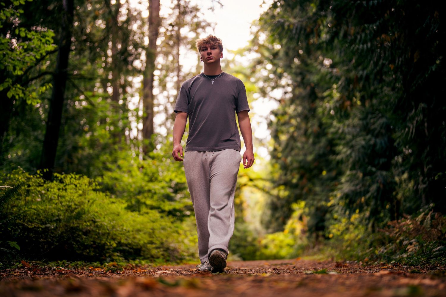 Person walking on tree-lined path through lush forest.