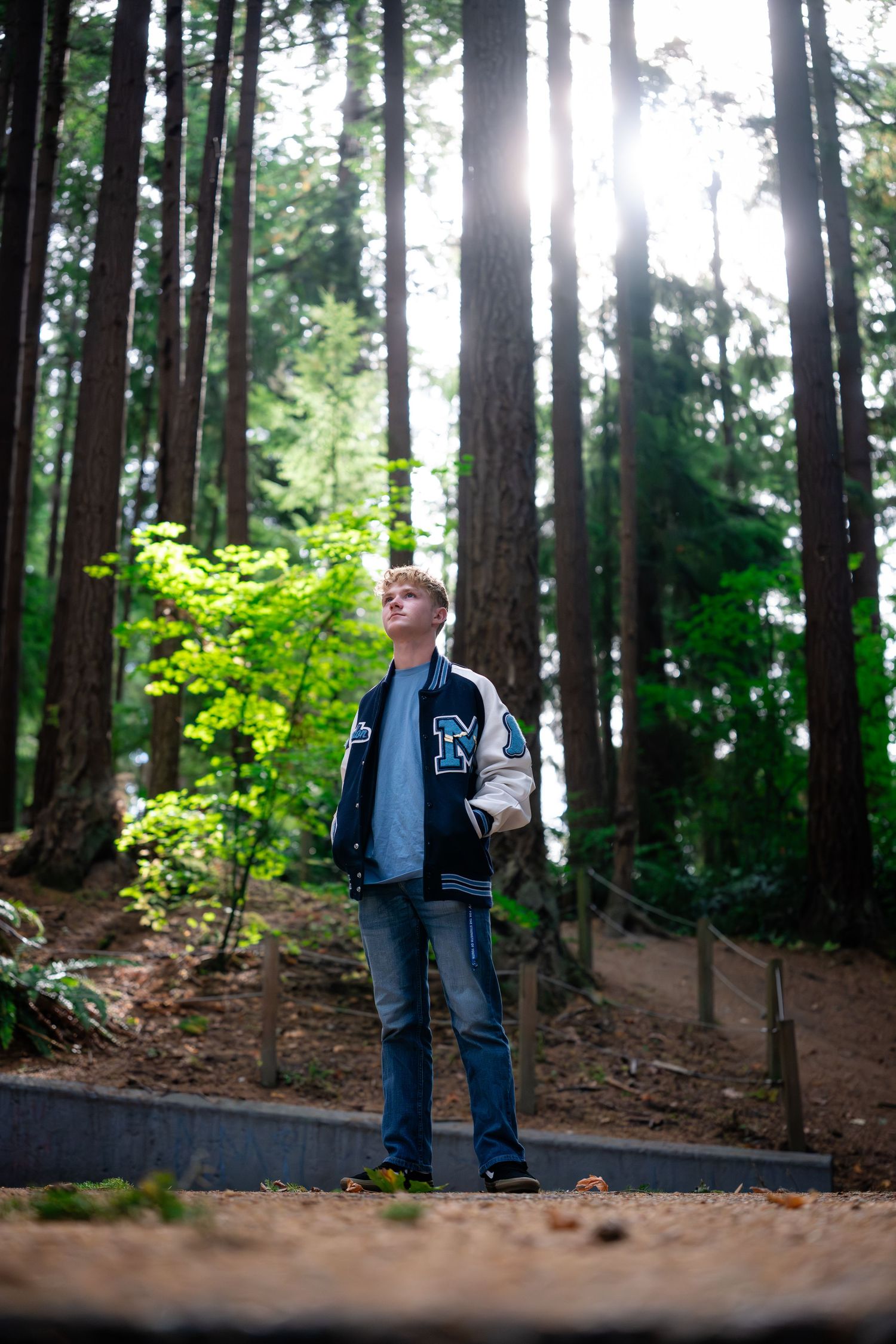 A person in a dark jacket stands among tall evergreen trees in a forest setting with sunlight filtering through branches.