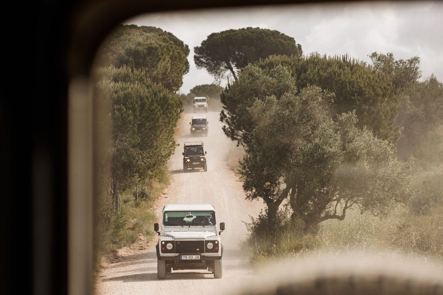 Convoy of Land Rover Defenders driving along a dusty rural road lined with pine trees, viewed from mirror.