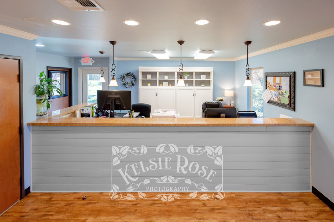 Modern dental office front desk with light blue paneling, wood counter, and shelving.