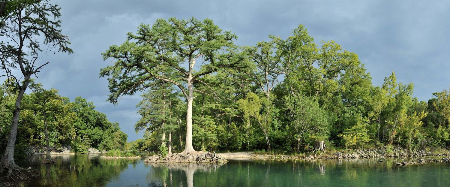 Lush green cypress trees reflected in calm river waters under dramatic stormy sky in Texas Hill Country.