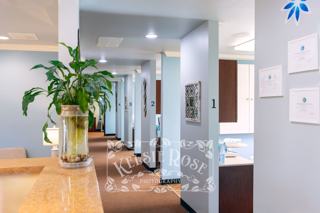 Bright dental office hallway with modern decor, plants, and treatment rooms.