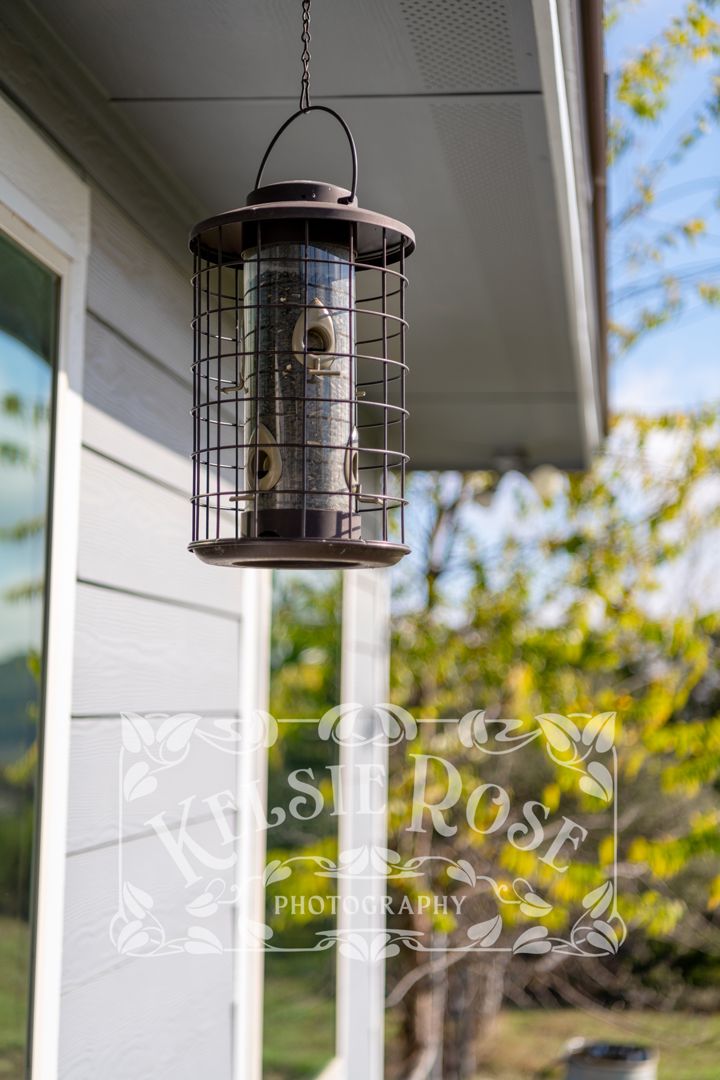 Decorative metal bird feeder hanging outside dental office building exterior.