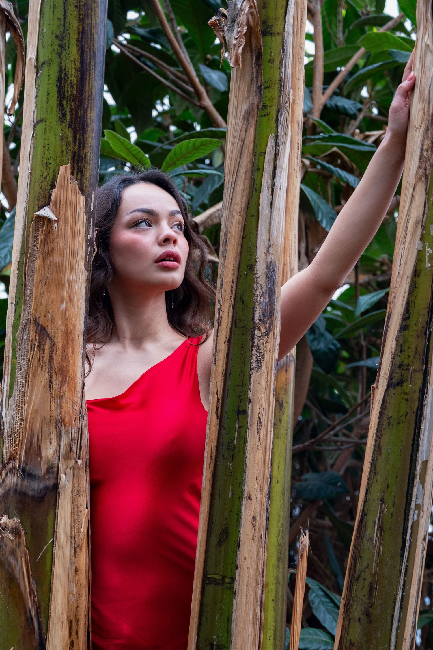 Woman in red dress standing among tall bamboo stalks in a lush tropical garden, gazing upward.