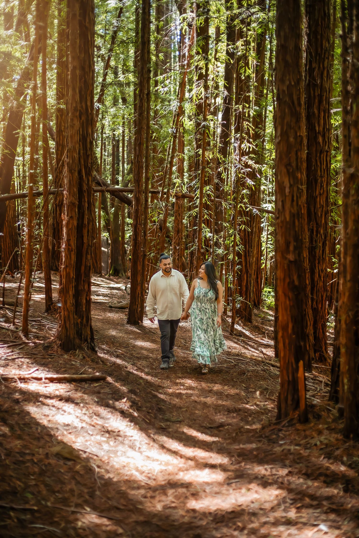 A couple walking through redwood trees during a photography session