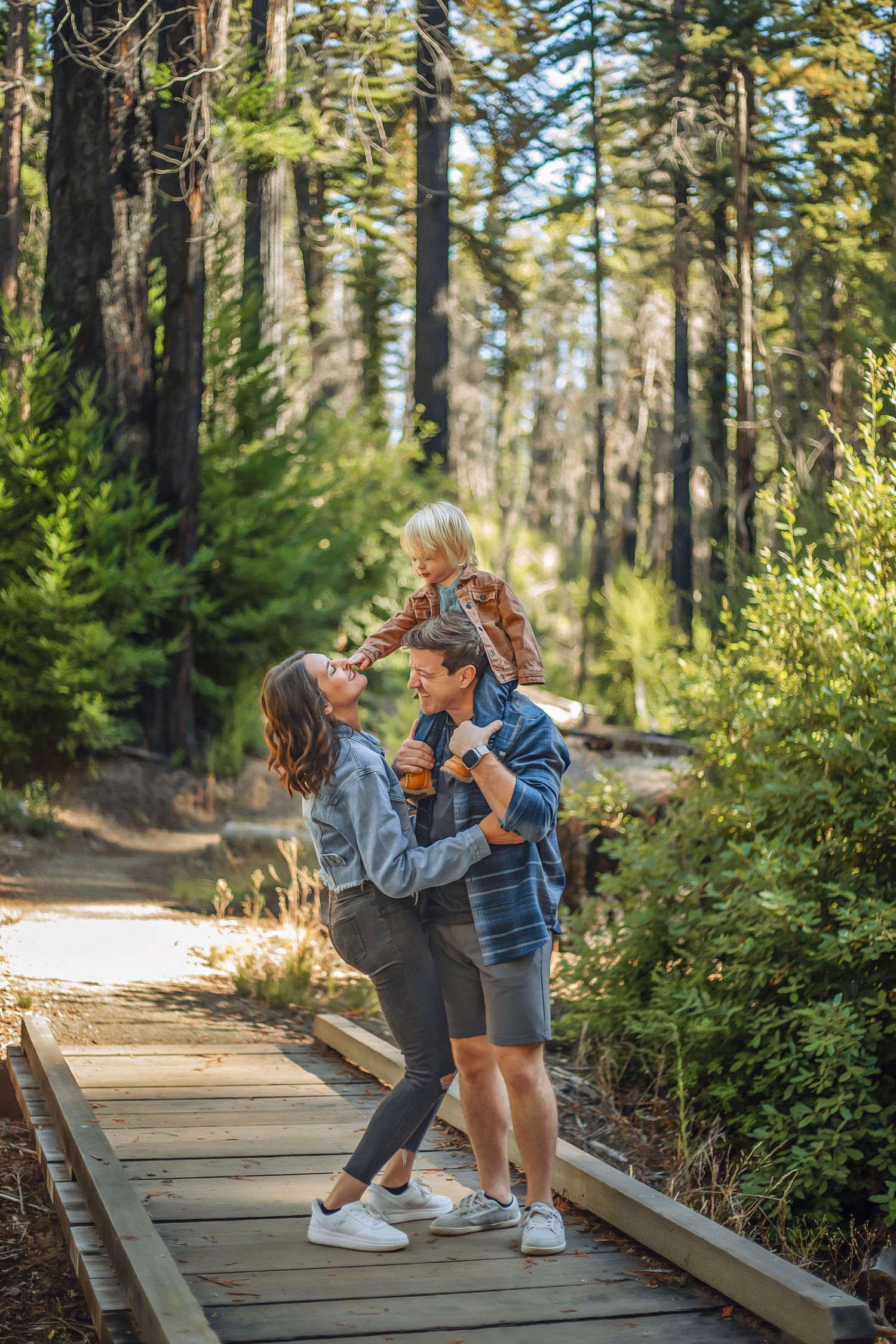 Family in the Santa Cruz redwoods, captured in natural light with candid moments among towering trees and a peaceful forest session.