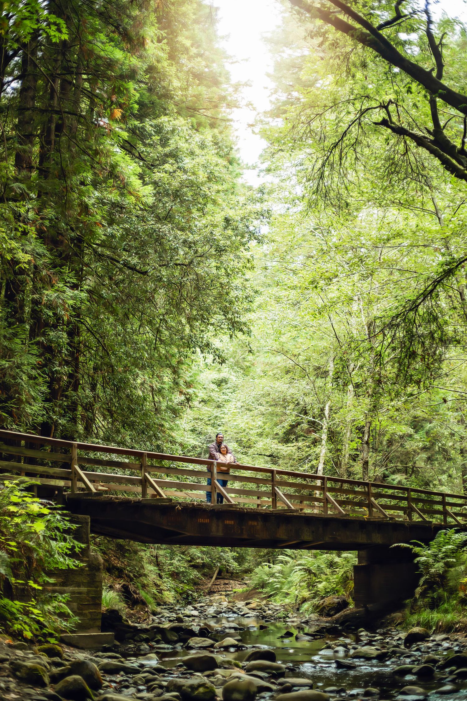 A couple in the Santa Cruz redwoods, captured in natural light with candid moments among towering trees and a peaceful forest session.