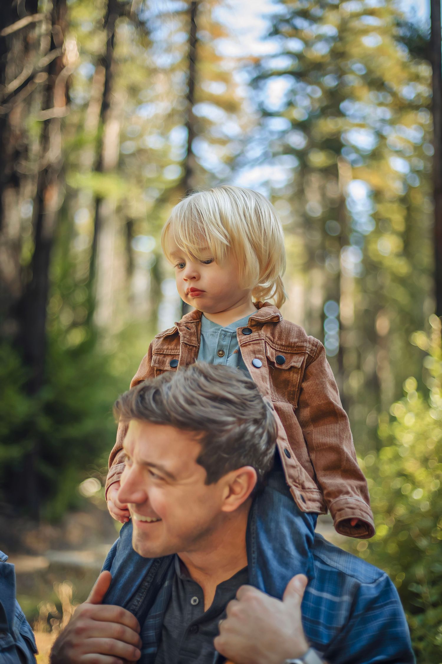 Family in the Santa Cruz redwoods, captured in natural light with candid moments among towering trees and a peaceful forest session.