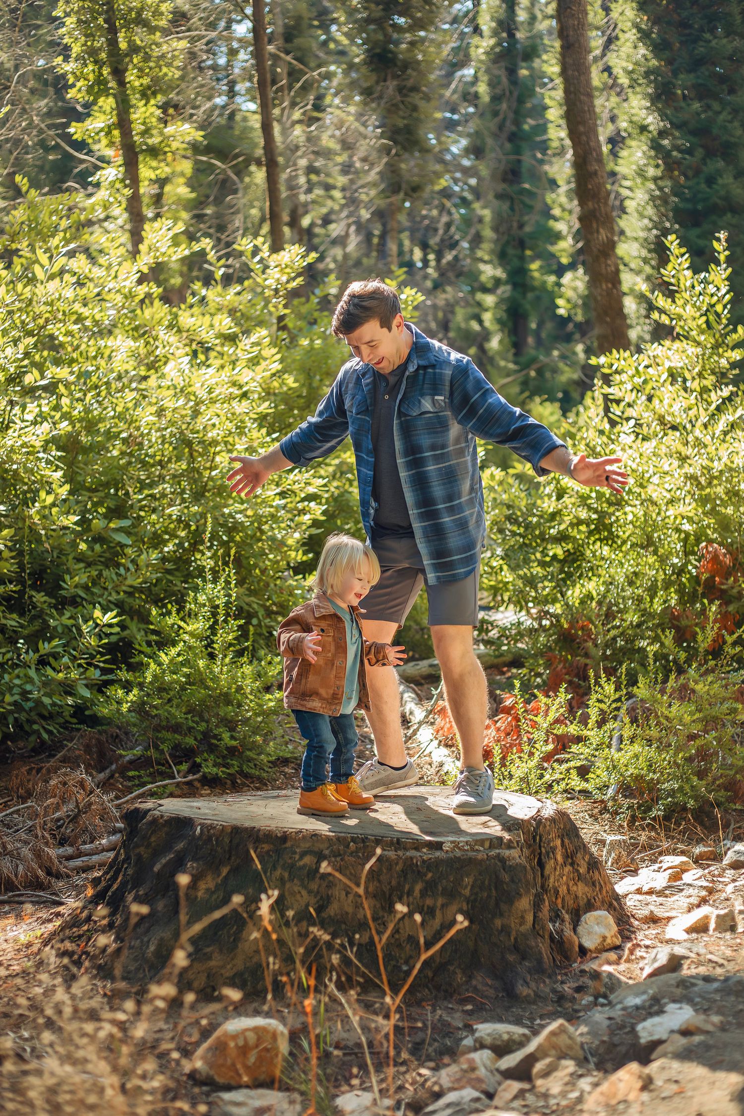 Family in the Santa Cruz redwoods, captured in natural light with candid moments among towering trees and a peaceful forest session.