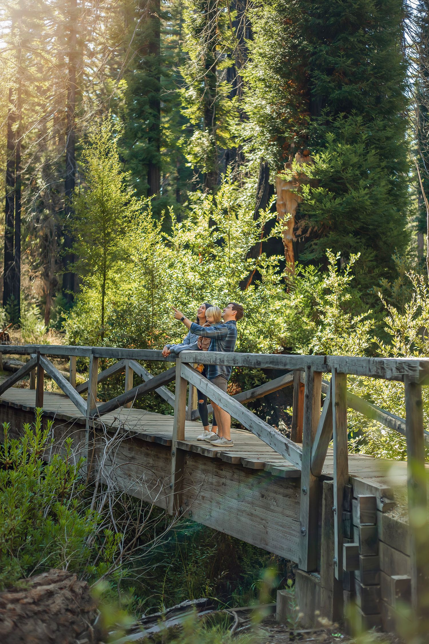 Family in the Santa Cruz redwoods, captured in natural light with candid moments among towering trees and a peaceful forest session.