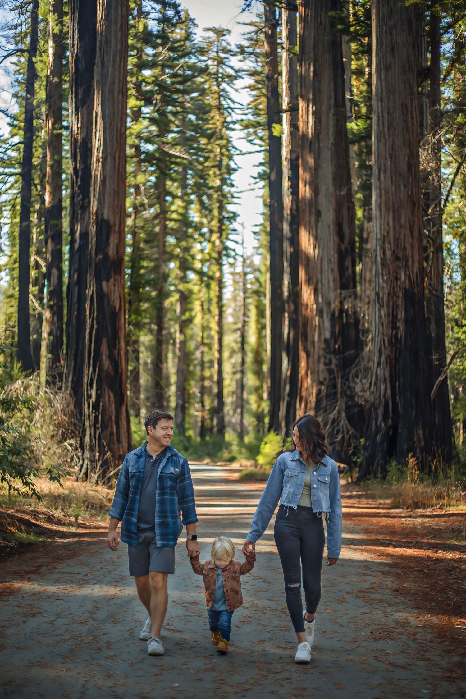 Family in the Santa Cruz redwoods, captured in natural light with candid moments among towering trees and a peaceful forest session.