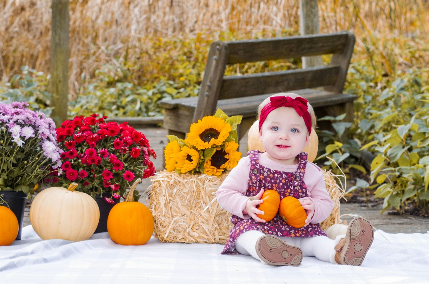 First birthday photo session in Harford County, MD
