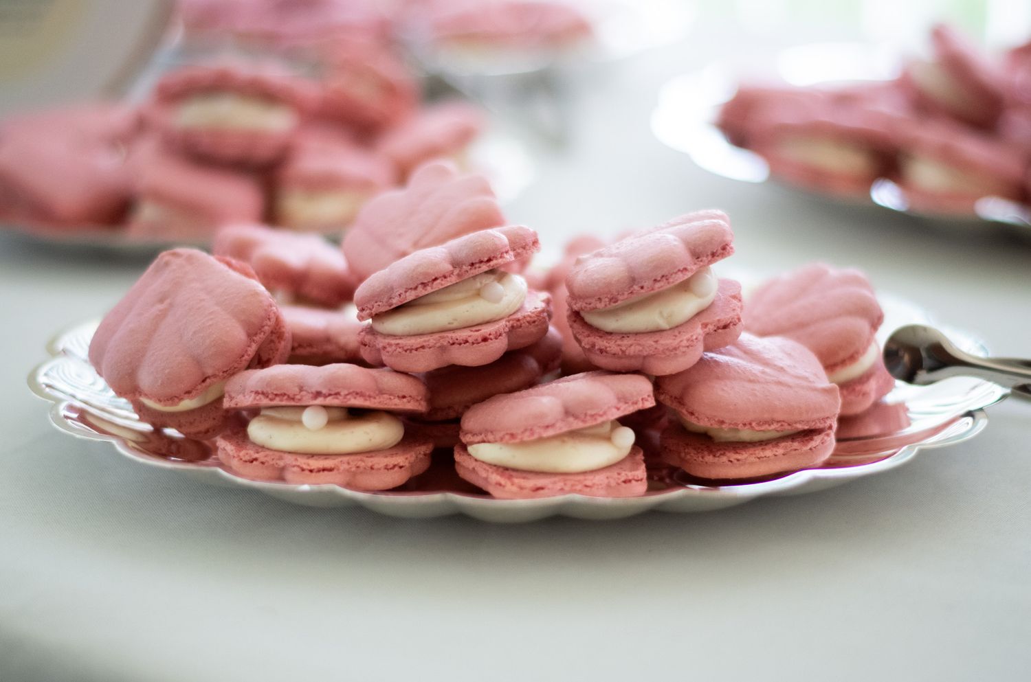 Wedding photo of desserts-seashell macarons- in Baltimore, MD