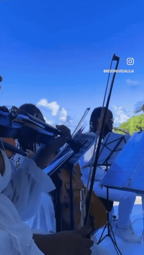 compilation weddings