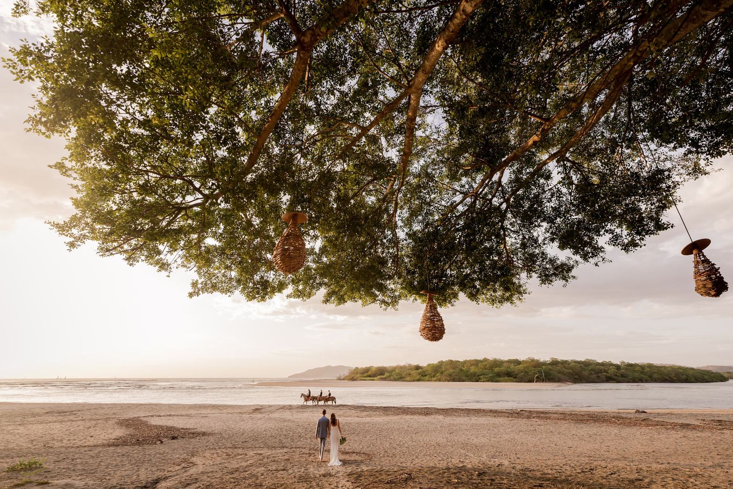Beach wedding portrait beneath a tropical tree in Tamarindo, Guanacaste, Costa Rica capturing the natural beauty of the Pacific coast.