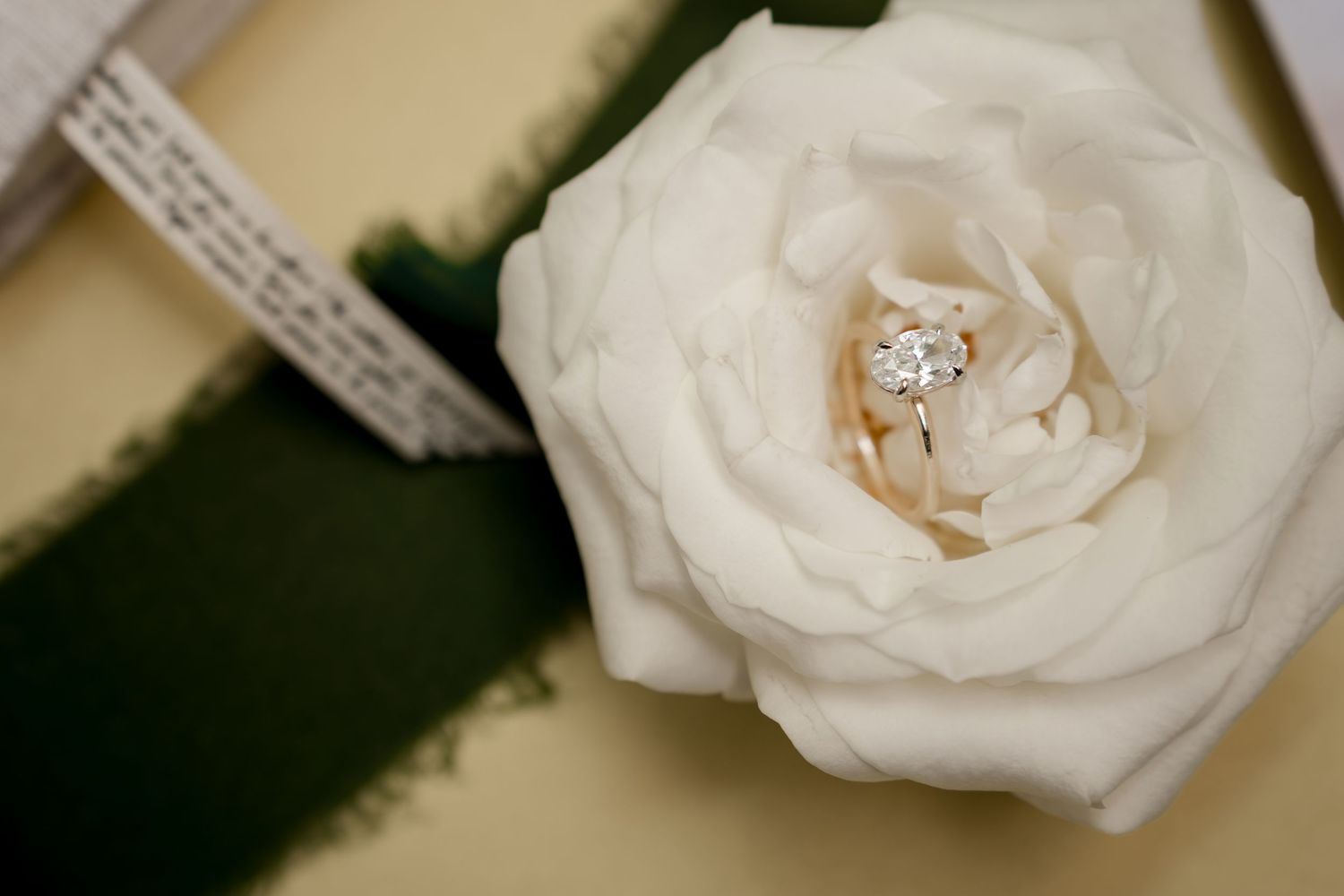 Diamond wedding rings styled on a white garden rose for an editorial luxury wedding detail photograph.