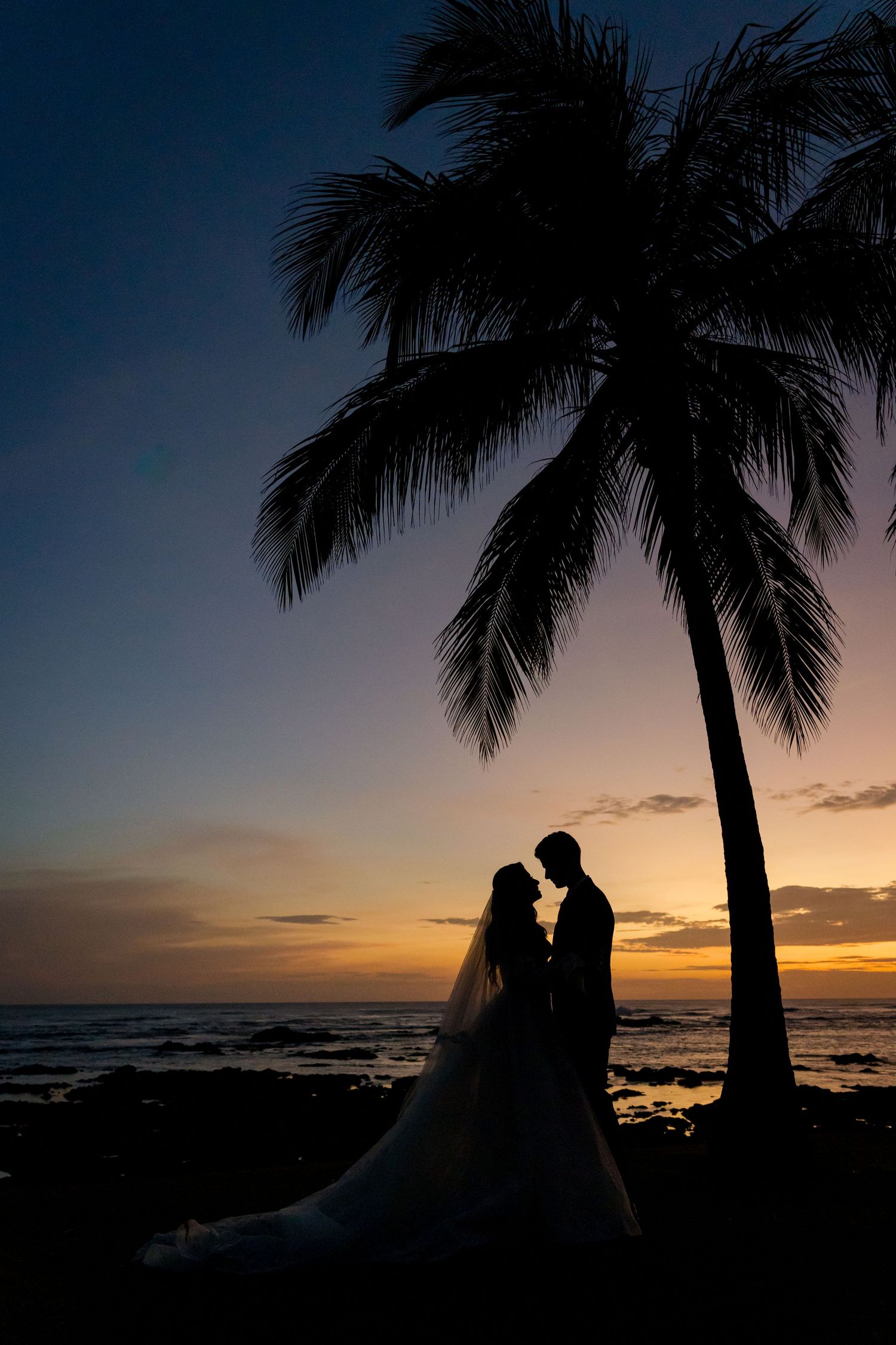 Silhouetted newlyweds beneath a towering palm tree as the sun sets over Costa Rica's Pacific coast.