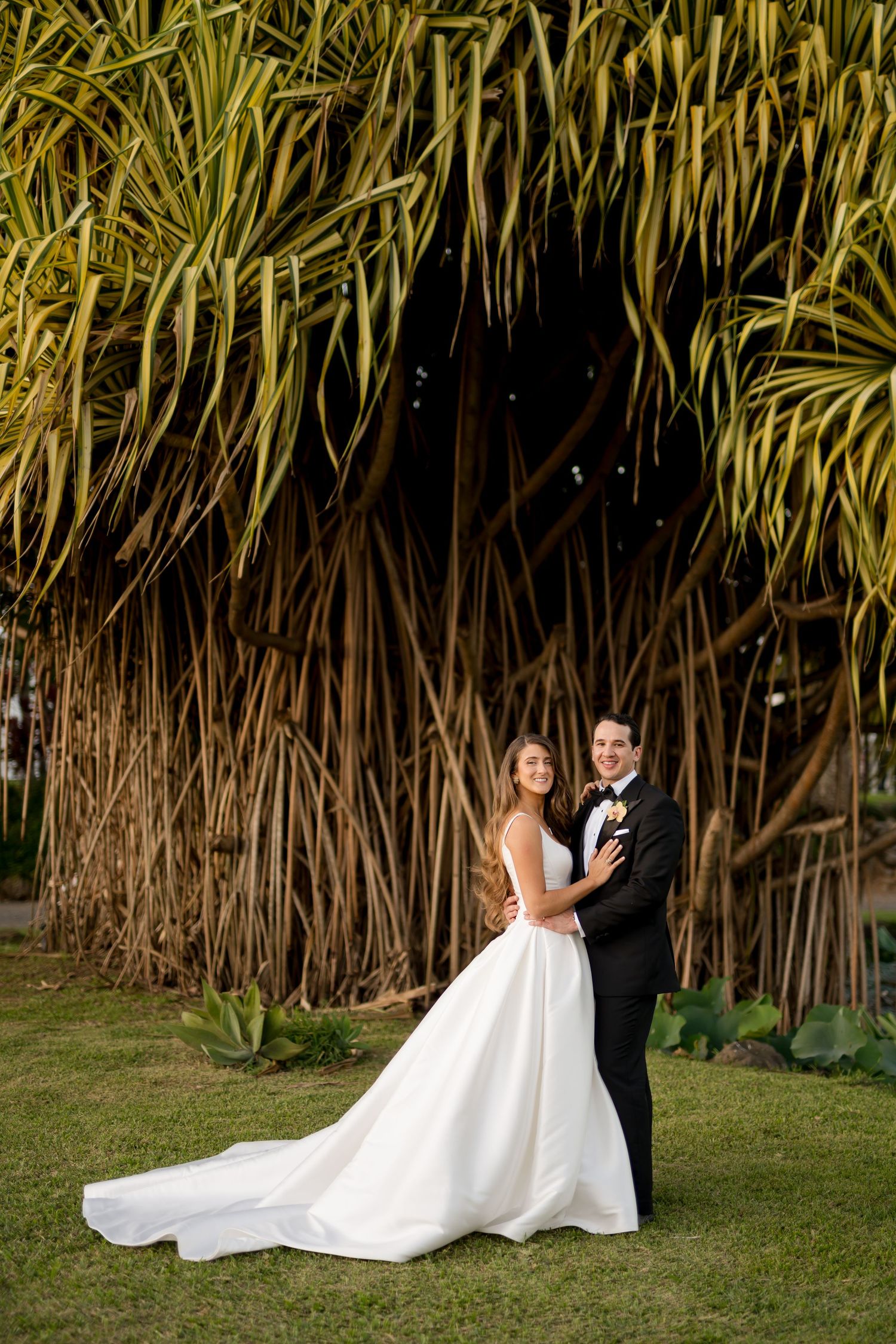 Romantic newlywed portrait beneath a majestic Banyan Tree, celebrating the natural beauty of a Costa Rica destination garden wedding.