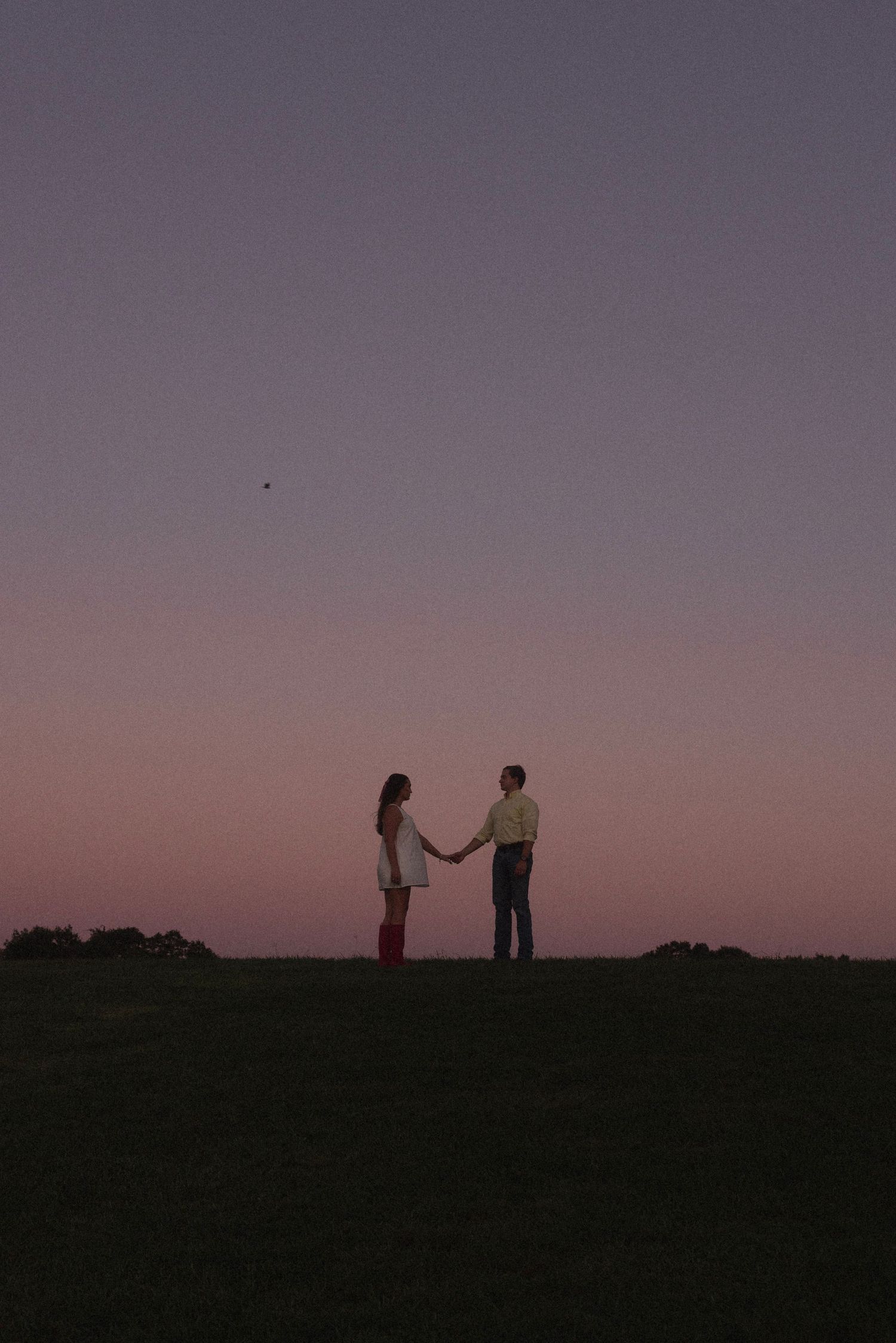 Couple holding hands at dusk on a grassy field with a pink and purple gradient sunset sky backdrop.