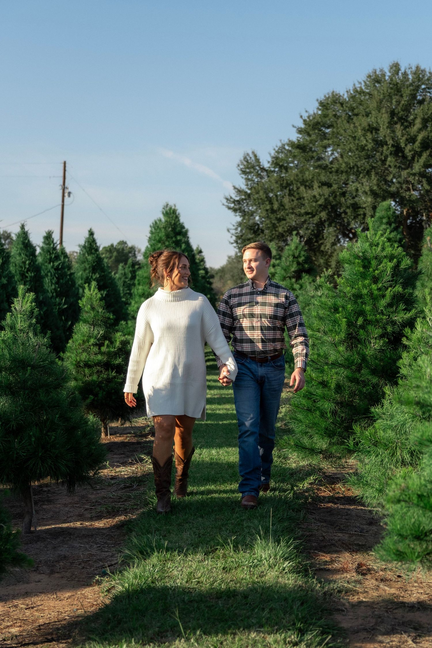 Couple holding hands walking through rows of green Christmas trees on a sunny tree farm.