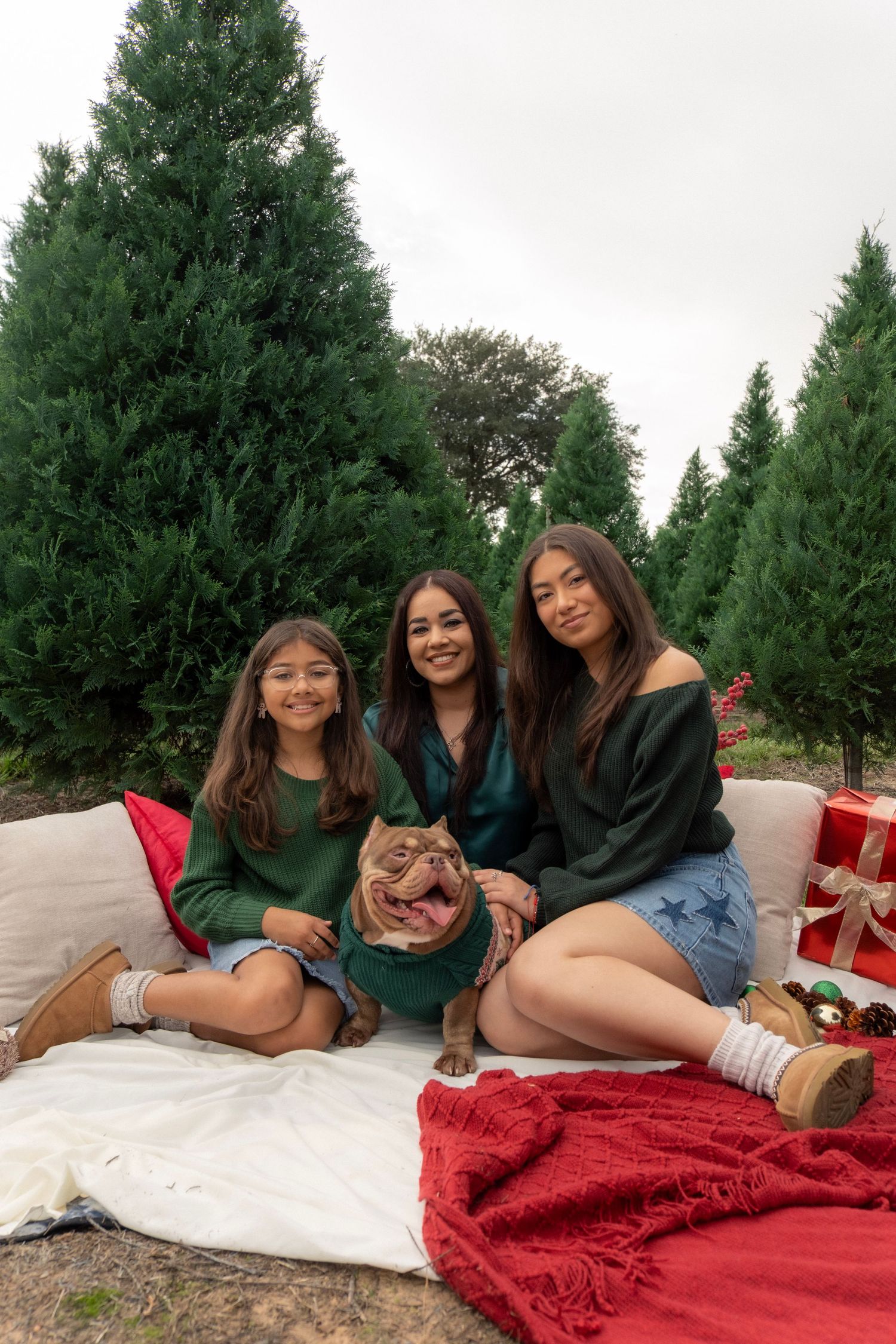 Three girls pose with a bulldog on a blanket at a Christmas tree farm with festive decorations.