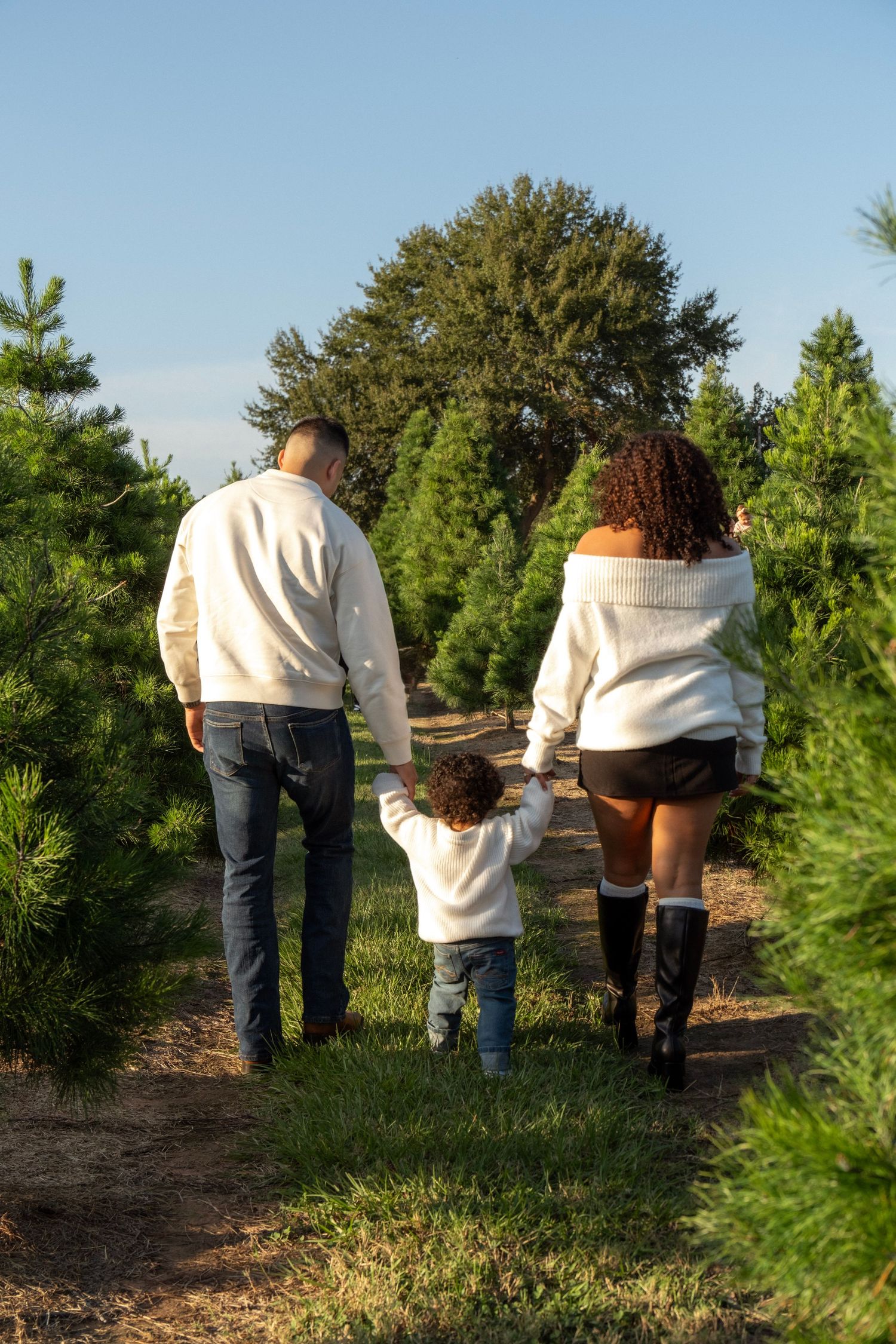 Family walking hand-in-hand through a Christmas tree farm, wearing white sweaters, viewed from behind on a sunny day.