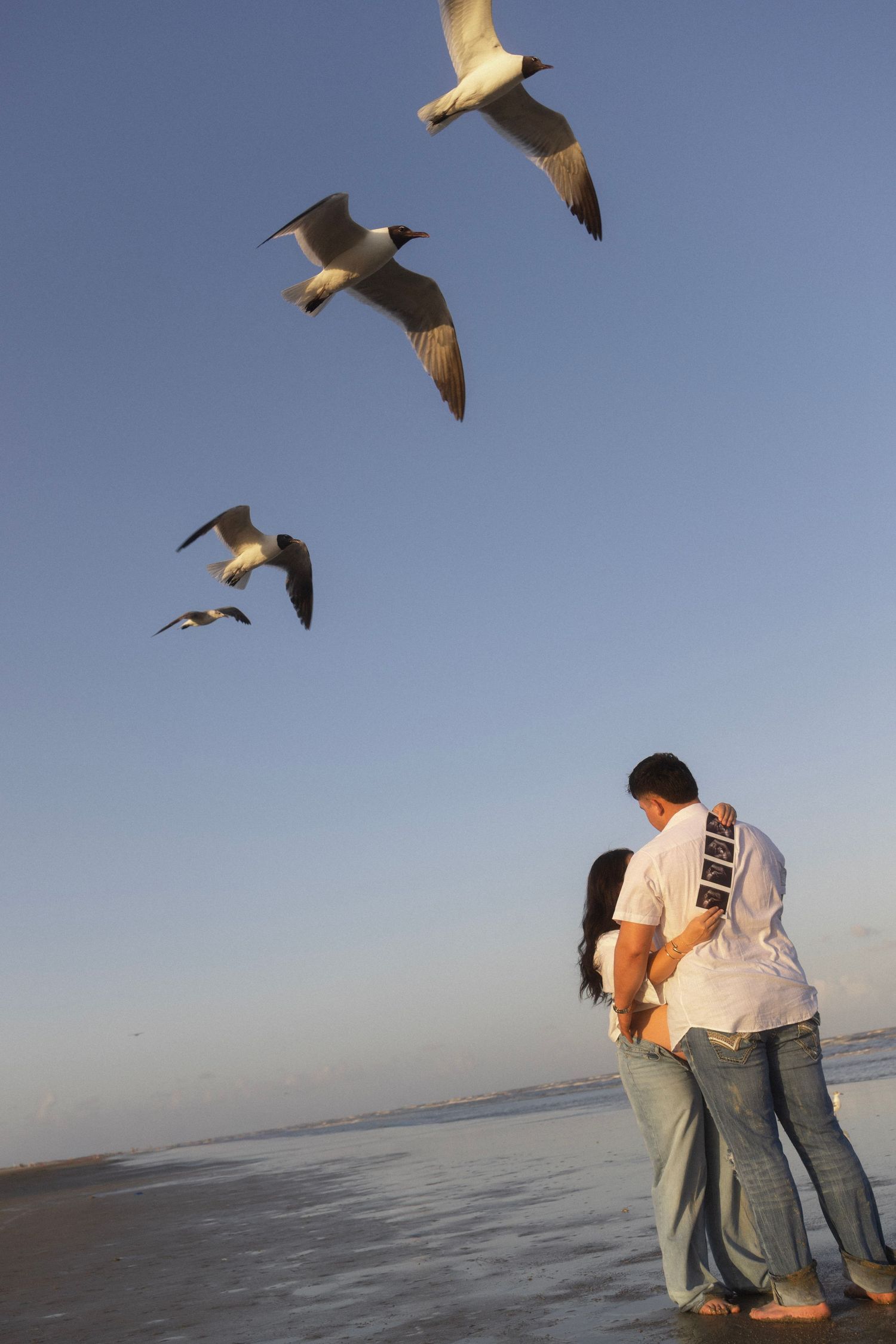 A couple embraces on a beach while seagulls soar overhead against a clear blue sky.
