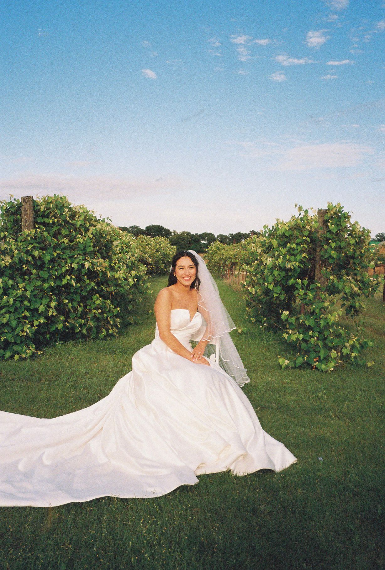 Bride in a long white gown with veil poses in a vineyard on her wedding day.