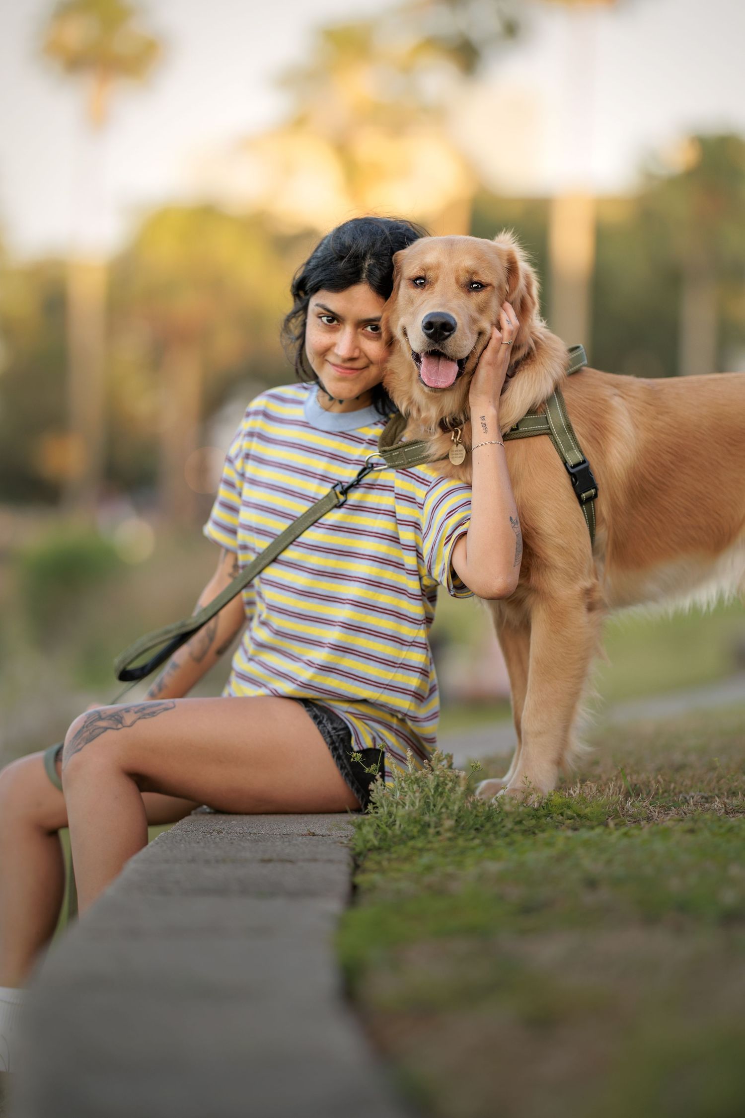 Timeless fine art portrait of a golden retriever in natural light.