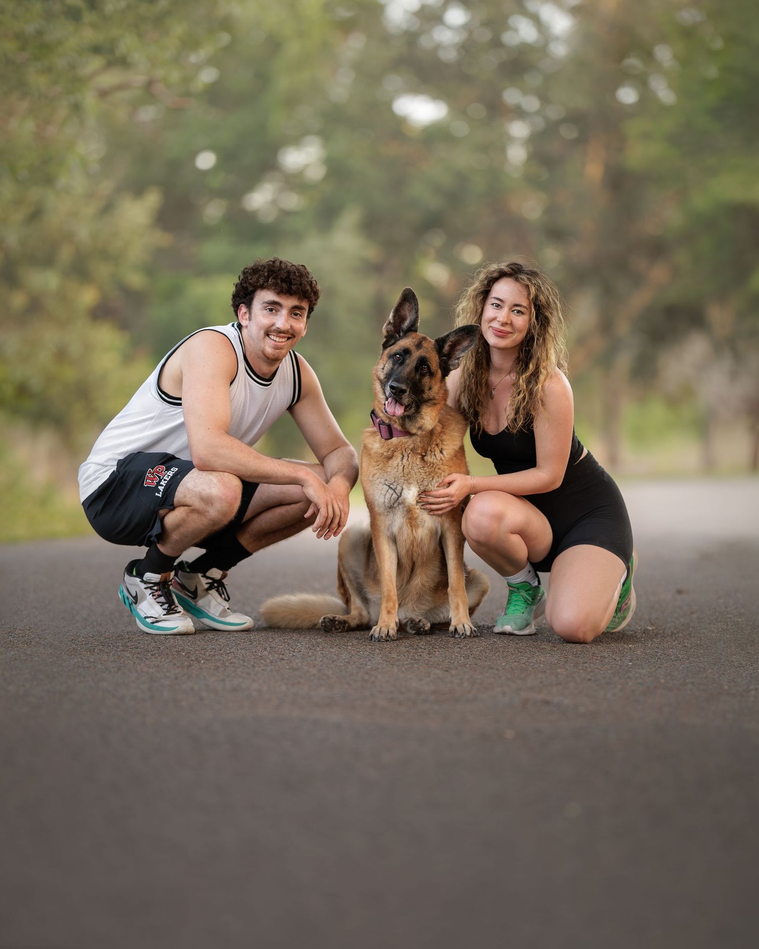 German Shepherd with mom and dad